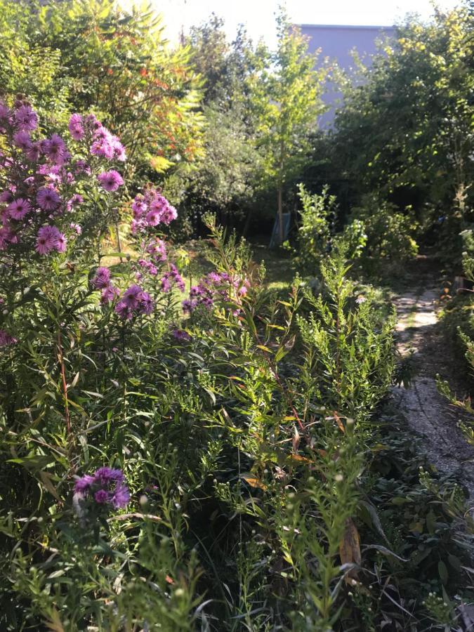 Châlons-en-Champagne Un Jardin Dans La Ville B&B 외부 사진